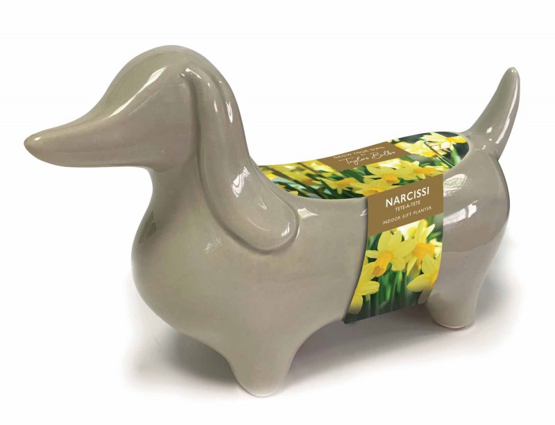 AH100 - Sausage Dog