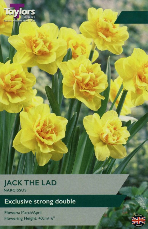 TP146 Jack The Lad