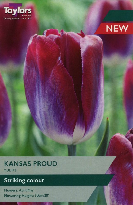TP401 Kansas Proud.jpeg