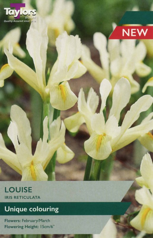 TP793 Iris Louise.jpeg