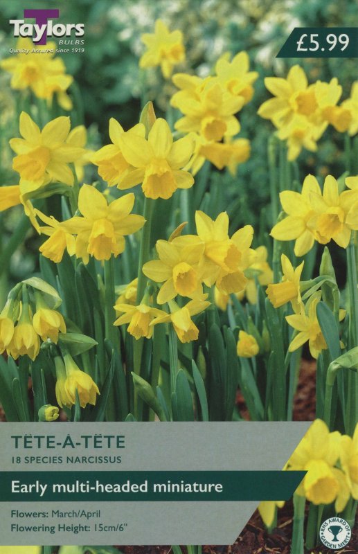 AV306 - Tete a Tete