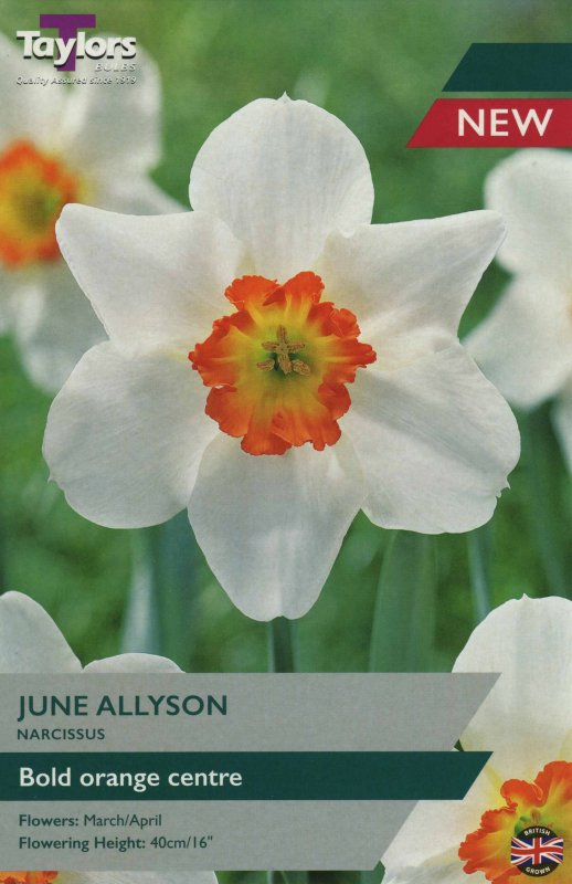 TP108 June Allyson