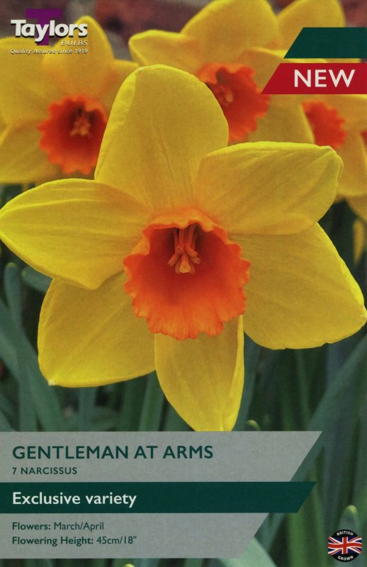 TP109 Gentleman at arms