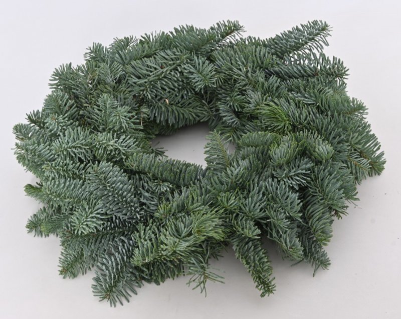XMAS ABIES NOBILIS 28-30_CM-WREATH