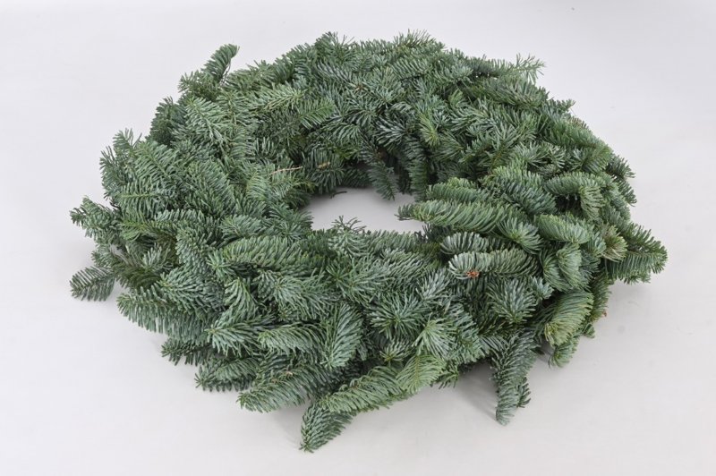 Abies nobilis 48-50CM-WREATH-HALF