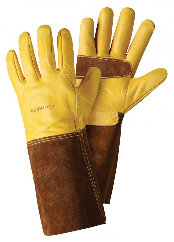 4540005 - Ultimate Golden Leather Gauntlets - Cut out
