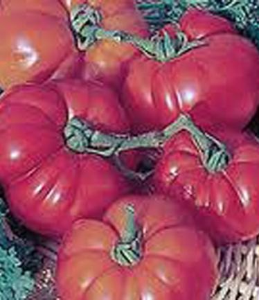 VEGTOMATOSUPERMARMANDELARGE