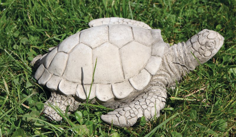 an122turtle