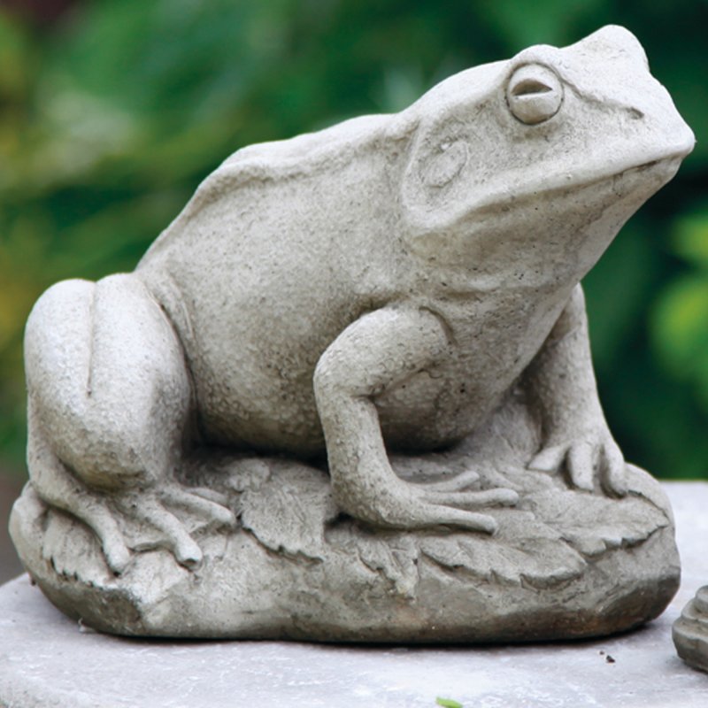 FROG  