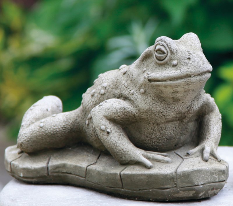 TOAD  