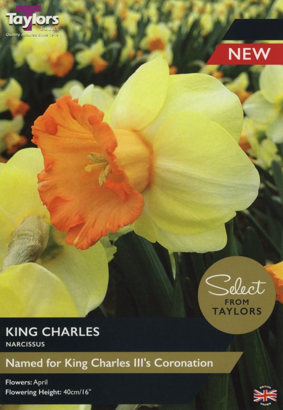 SE102 King Charles