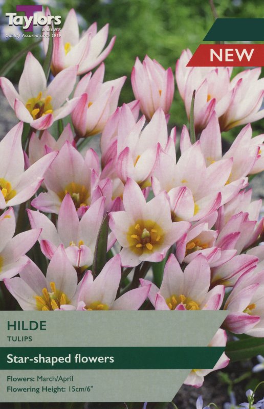 TP542 Hilde