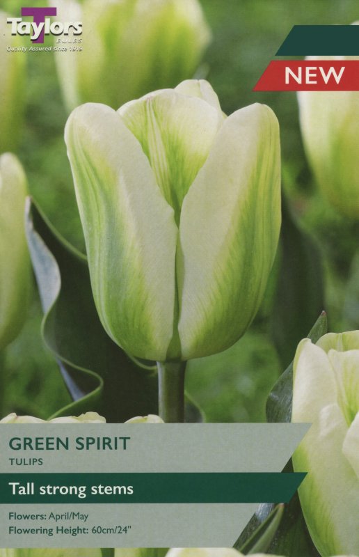 TP586 Green Spirit