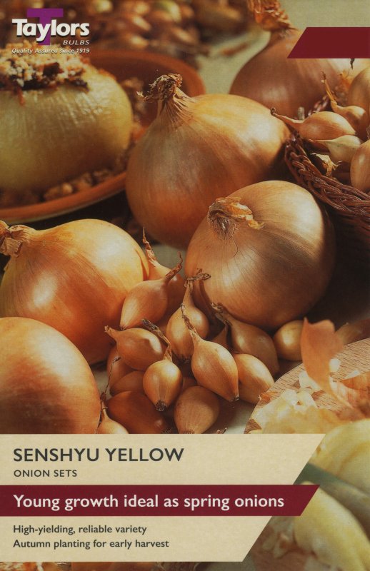 VP100 Senshyu Yellow