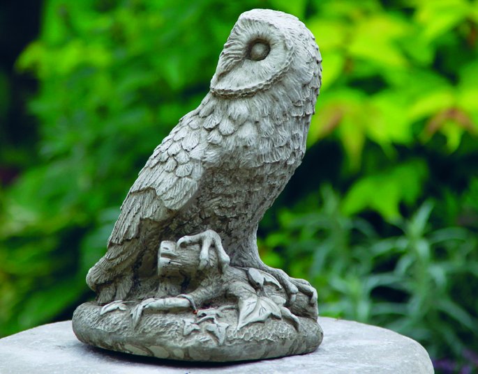 OWL  