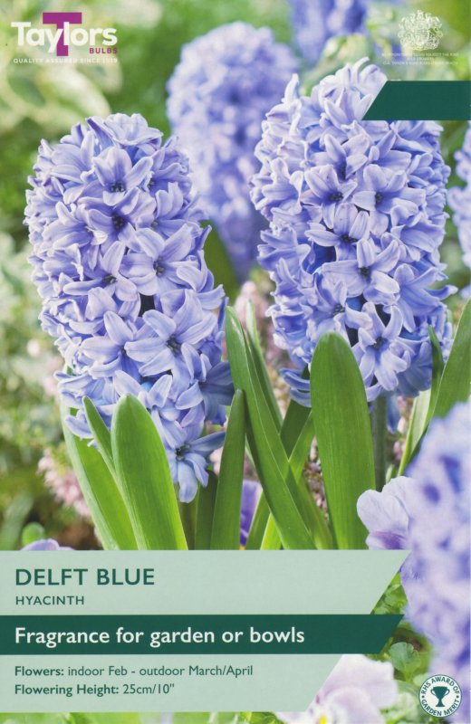 TP617-Delft-Blue-garden