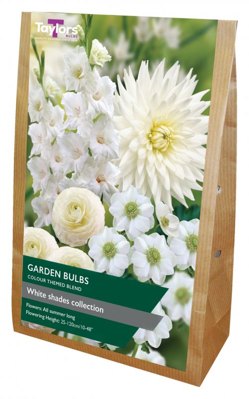 SV538-White-Shades-Collection-scaled