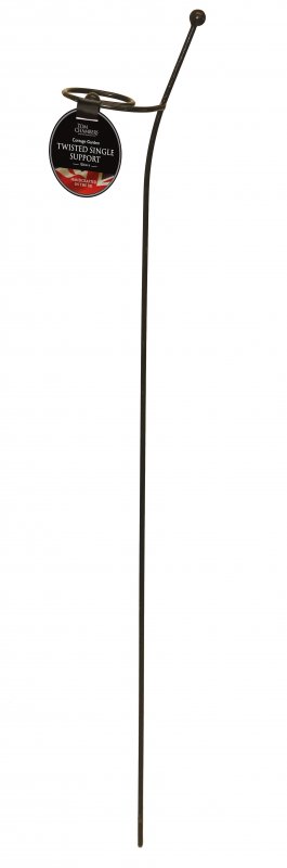 CG001 Cottage Garden Twisted Single Stem