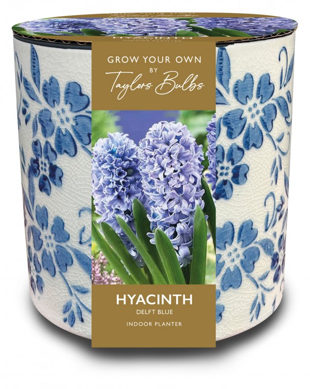 AH33-Vintage-Blue-Floral
