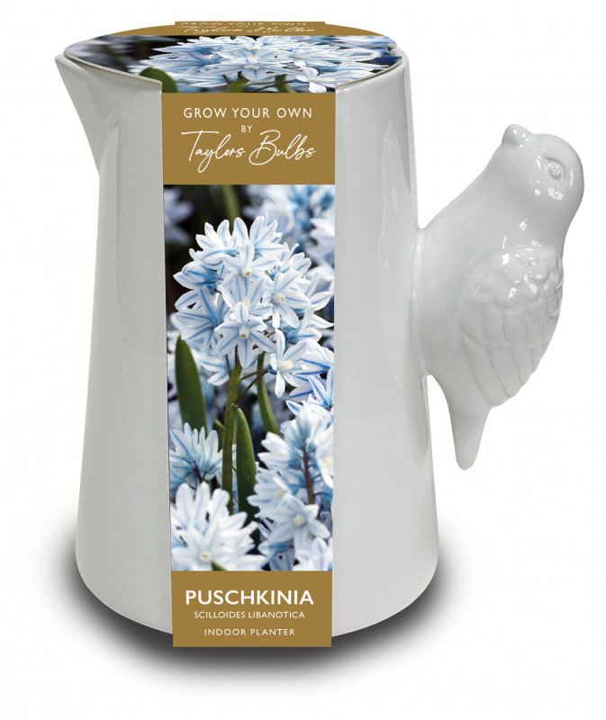AH73-Luxury-Bird-Handle-Jug