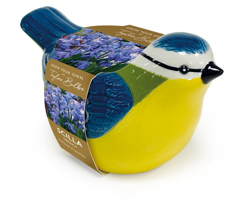 AH92-Blue-Tit-Planter