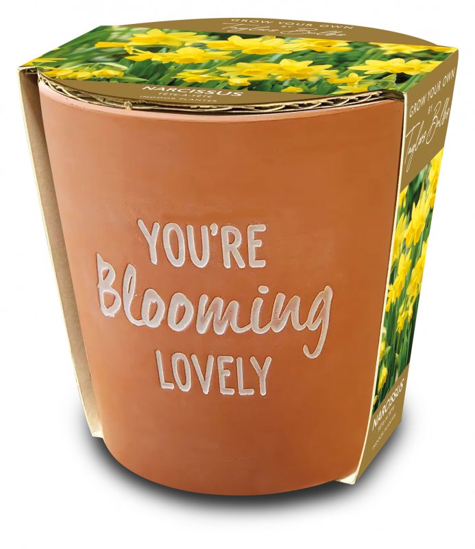 AP24-Blooming-Lovely-Pot