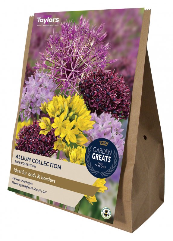 AV615-Garden-Greats-Allium-Collection-scaled