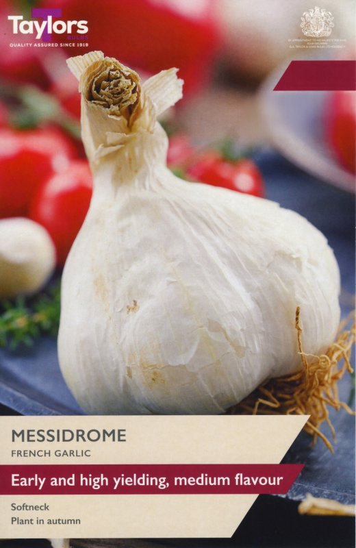 AVEG9E-Garlic-Messidrome
