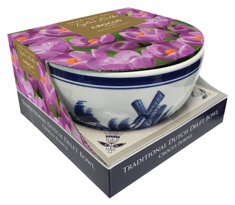 DP13-Delft-Bowl-Purple-Crocus-scaled