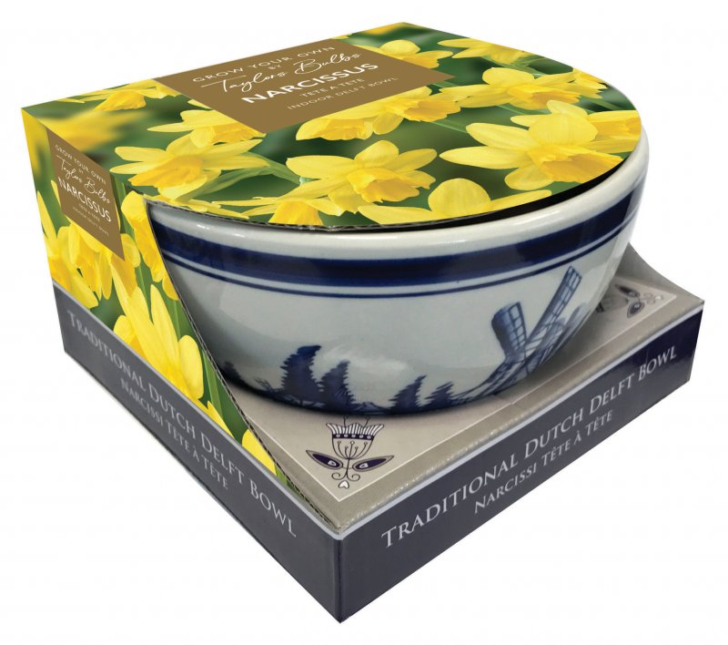 DP19-Delft-Bowl-Tete-a-Tete-scaled