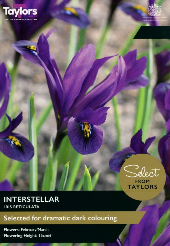 SE1450-Iris-Interstellar-scaled