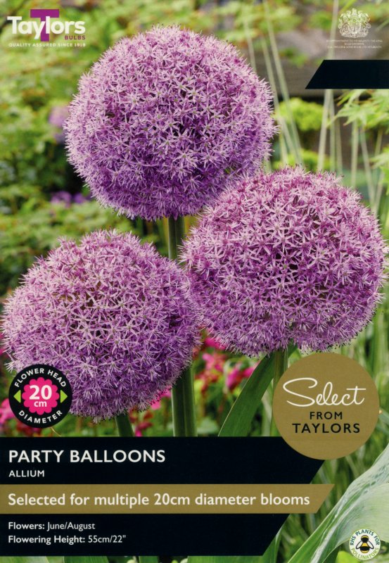 SE975-Allium-Party-Balloons-scaled