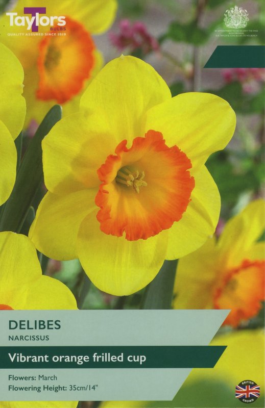 TP106-Delibes