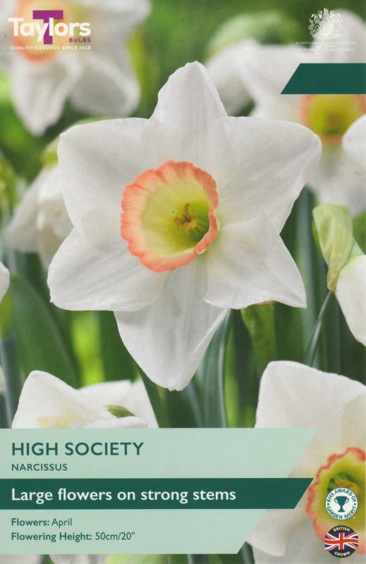 TP115-High-Society
