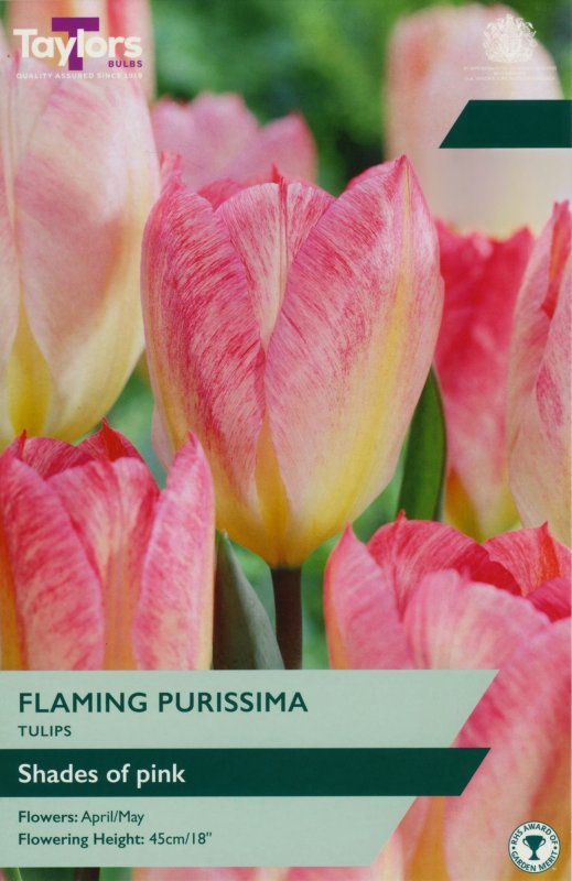 TP2122-Flaming-Purissima