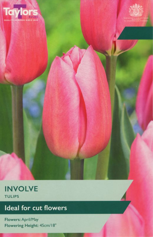 TP391-Involve