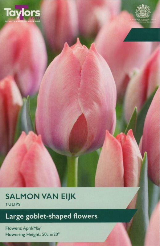 TP423-Salmon-Van-Eijk