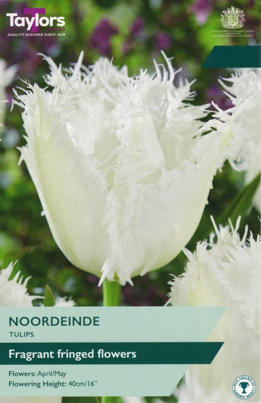TP498-Noordeinde