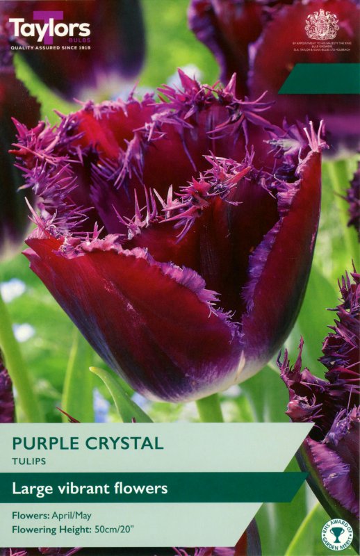 TP502-Purple-Crystal