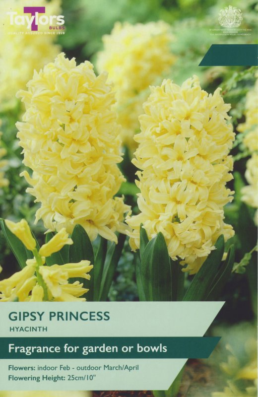 TP614-Gipsy-Princess-garden