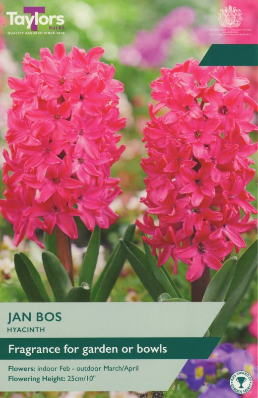 TP620-Jan-Bos-garden