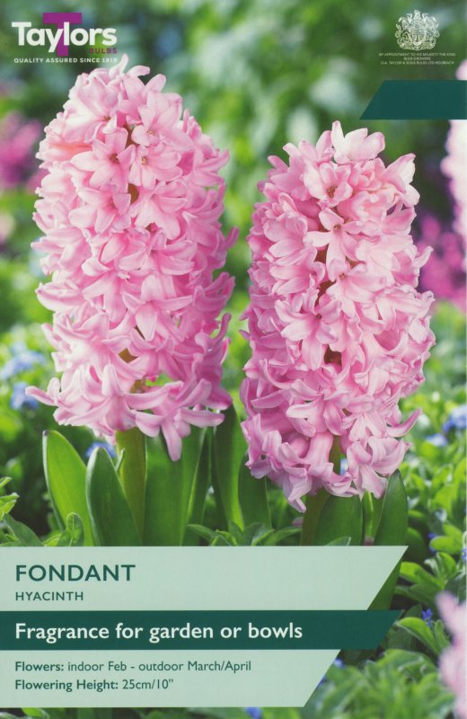 TP623-Fondant-garden