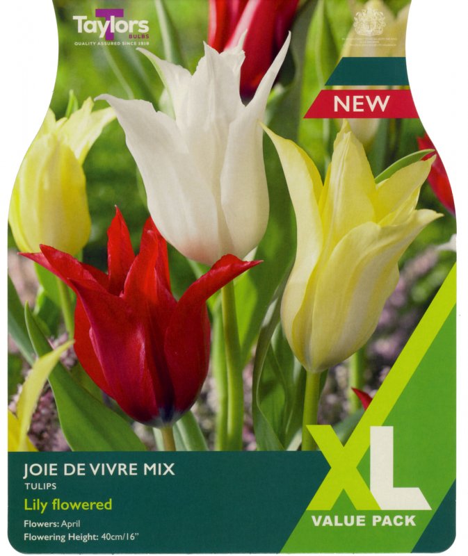 XL444-Joie-De-Vivre-Mix-scaled