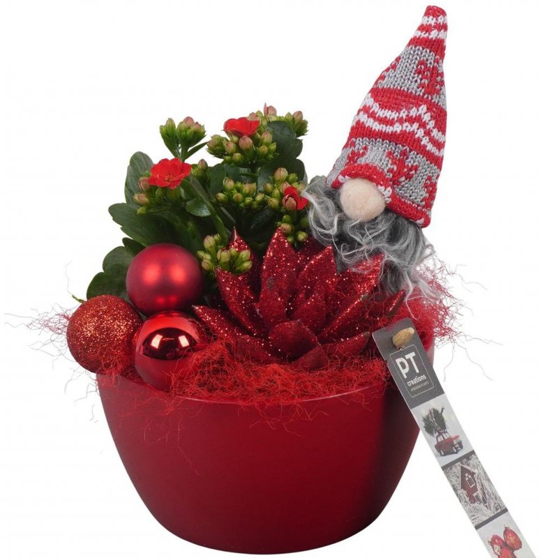 HOUSE PTCHR7227 Arrangement Christmas Red in ceramic bowl