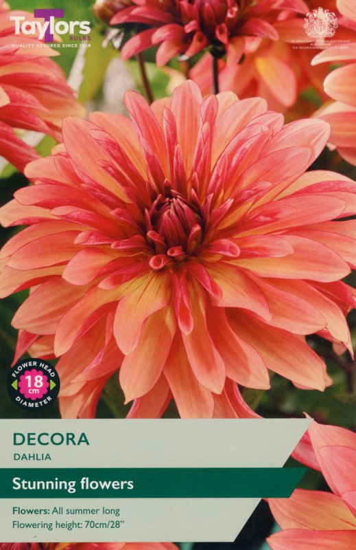 TS339-Decora
