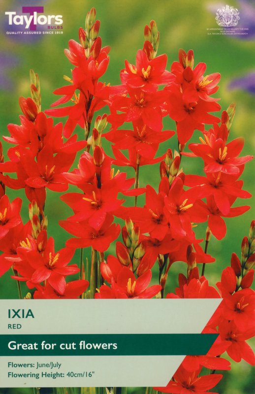 TS758-Ixia-Red