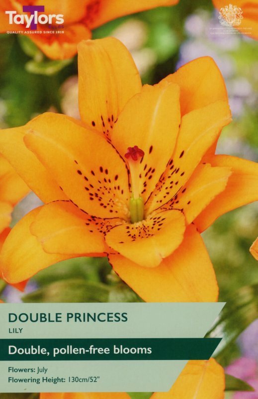 TS577-Double-Princess