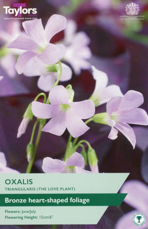 TS777-Oxalis