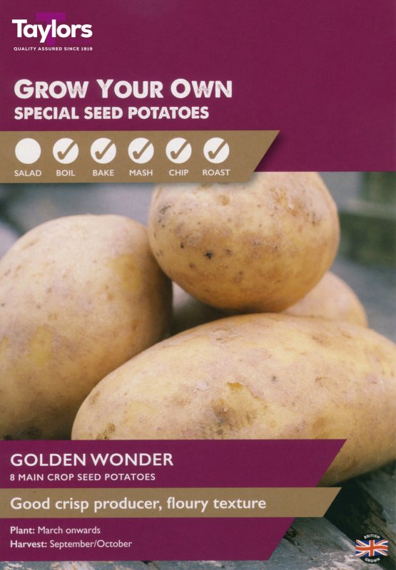 VP410-Golden-Wonder-scaled