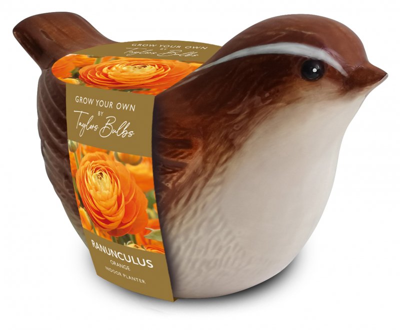 SH21-Wren-Bird-Planter